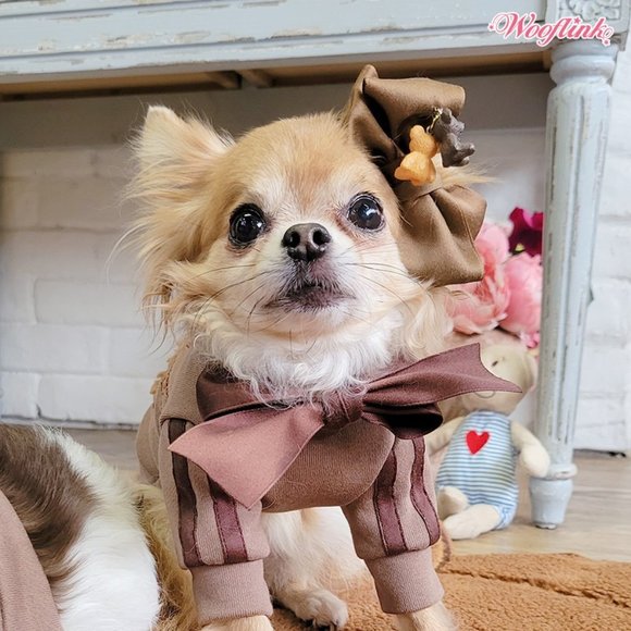 BB Dog Hairbow by Wooflink - Set of 2 - 1 Pink, 1 Chocolate - Picture 3 of 4